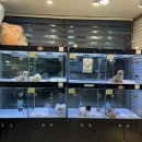 광주강아지분양 애견만세 | 첨단 [ 애견만세 ] 강아지 분양했어요!!