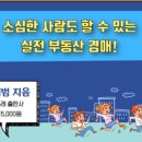 부동산 경매 입문&실전 과정 이미지