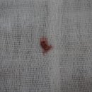 태양 동물병원 이미지