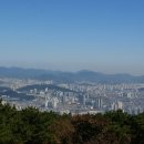 엄광산 동구경계 이미지