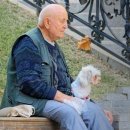 중앙동194 이미지