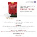 내고향도우미