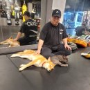 라스트 멀티짐 이미지