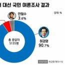 19대 대선 여론조사 결과 이미지