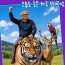 Enjoy Daum카페