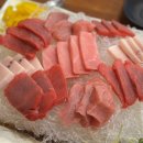 청록참치