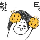 버블앤조이