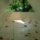 하늘농장5 이미지