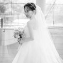 화이트포토그래피 이미지