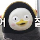 하뚜