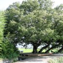 내천경로당 이미지