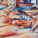 세화당구장 이미지