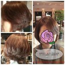 더 힐링스 이미지