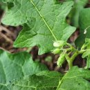 오수(전주)휴게소 이미지