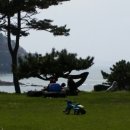 태창조경