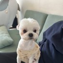 동네개발소 네이버블로그