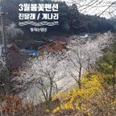 숲속펜션 이미지