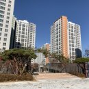 설레임동남