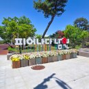 안숙선명창의여정 | 무념무상 남원 여행🌺 (1)