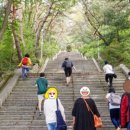 정빈의원 이미지