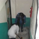 새나루공동체 이미지