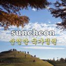 정원 | 순천 가볼만한곳 순천만 국가 정원 후기