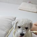 와빵