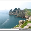 환상의 섬 이미지