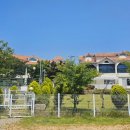 사랑해줄개 이미지