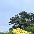 영종불백 | 인천 영종 을왕리 보리밥 맛집 정할머니 명주 간장게장 후기