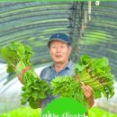 재주농장 이미지