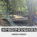 대관령자연휴양림 | 대관령자연휴양림 야영장 116번 숲속 가성비 캠핑
