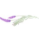 세븐일레븐 대구태전센터점 이미지