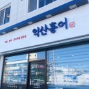 익산홍어 이미지