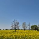 부여(사비)-15 이미지