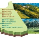 MK 골프클럽 이미지