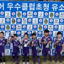 장흥생활체육공원 축구장 이미지