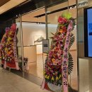 대백프라자 이미지