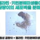 (주)지씨엠 이미지