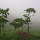 우리들이 보는 세상 이미지