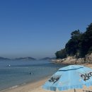 대권민박 이미지