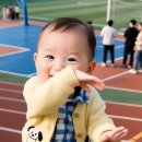 2025년 11월 21일 금요일 신문을 통해 알게 된 것들 이미지