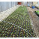 태기산농장 이미지