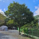 구름아래 캠핑장 이미지