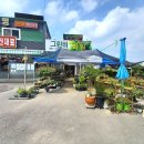 그린비화원