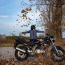 디톡스라이프 이미지