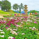 장군마을4길 Daum카페