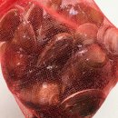 호텔휴로프트 | 인천 갯벌체험 펜션 호텔휴로프트 디럭스패밀리룸 후기
