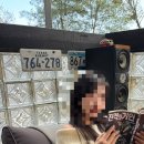 안새내길 | 영월 후기