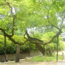 (사)산림문화콘텐츠연구소